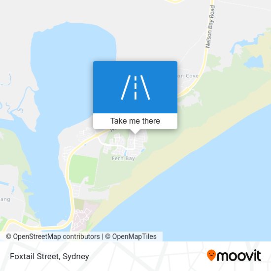 Foxtail Street map