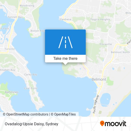 Ovadalog-Upsie Daisy map
