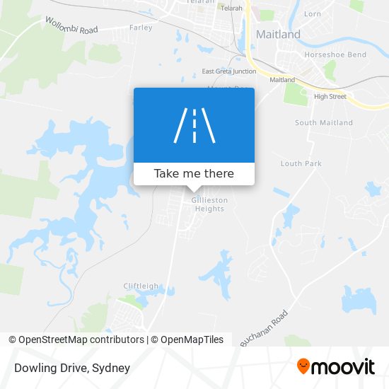 Mapa Dowling Drive
