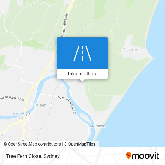 Mapa Tree Fern Close