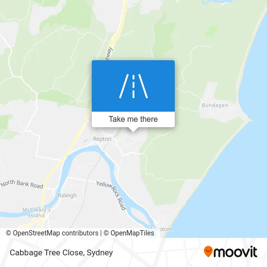 Mapa Cabbage Tree Close