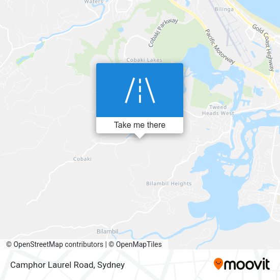 Camphor Laurel Road map