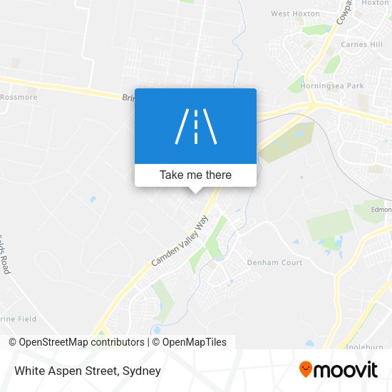White Aspen Street map