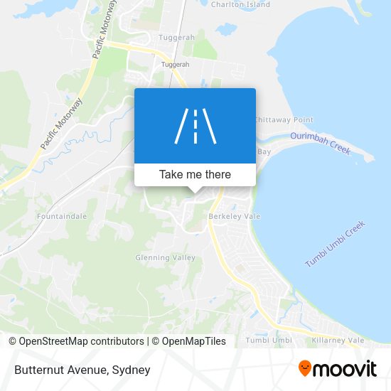 Butternut Avenue map