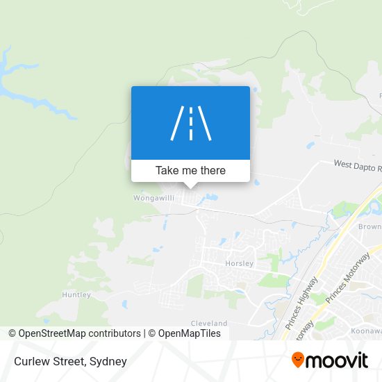 Curlew Street map