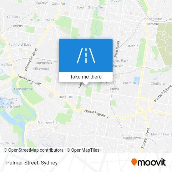 Palmer Street map