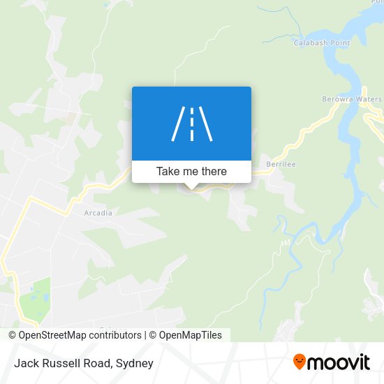 Jack Russell Road map