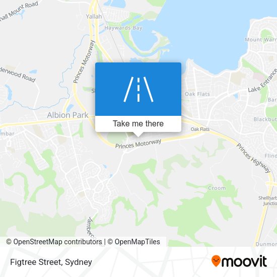 Figtree Street map
