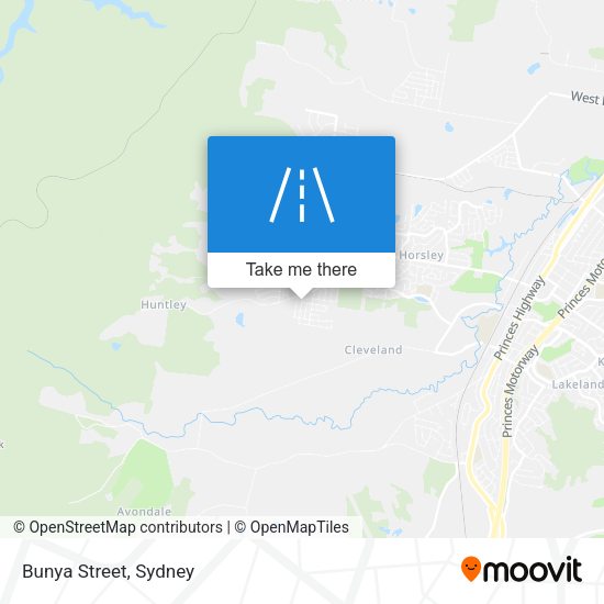 Bunya Street map