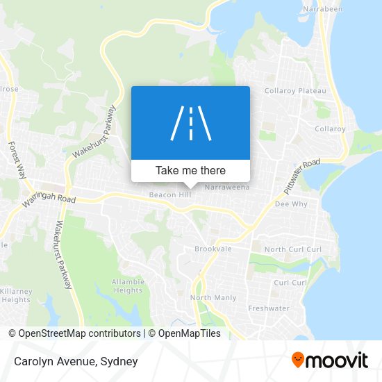 Carolyn Avenue map