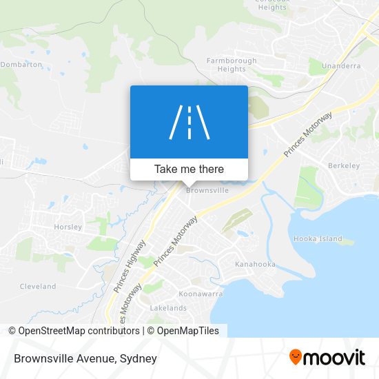 Brownsville Avenue map