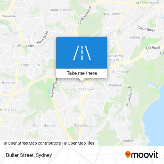 Buller Street map