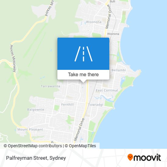 Palfreyman Street map