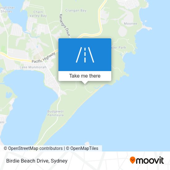 Birdie Beach Drive map