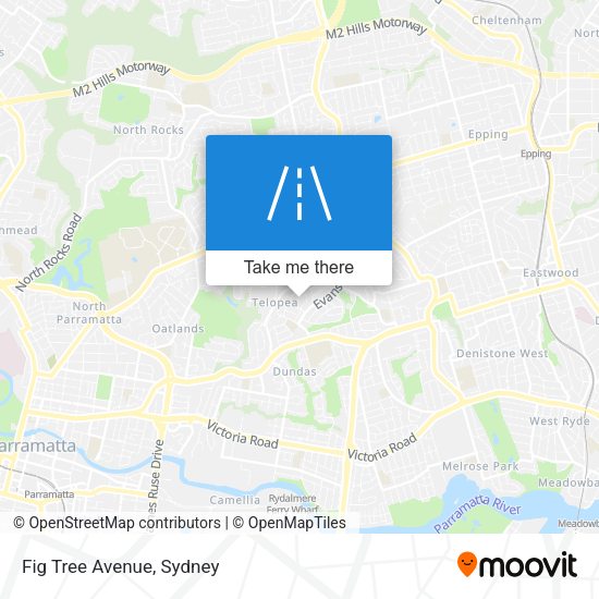 Fig Tree Avenue map