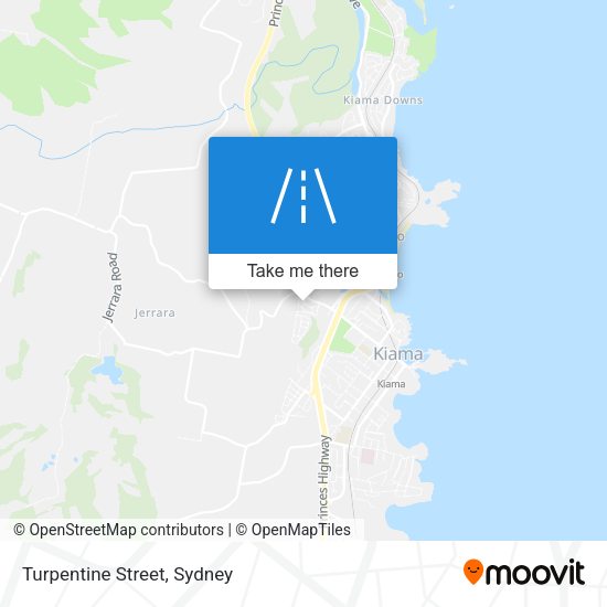 Turpentine Street map