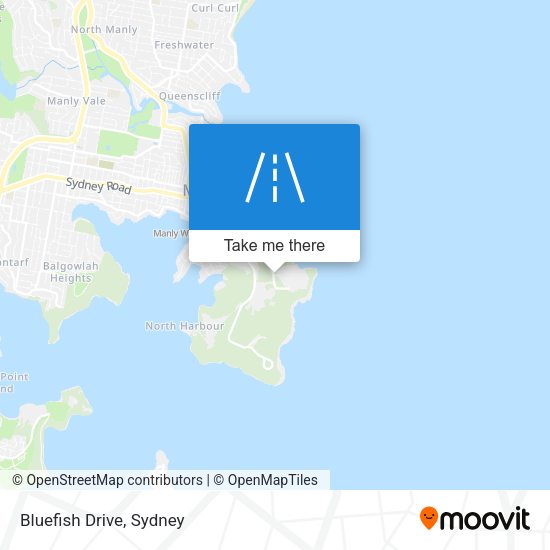 Bluefish Drive map