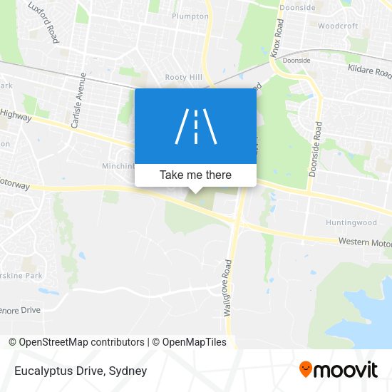 Eucalyptus Drive map