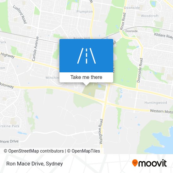 Ron Mace Drive map