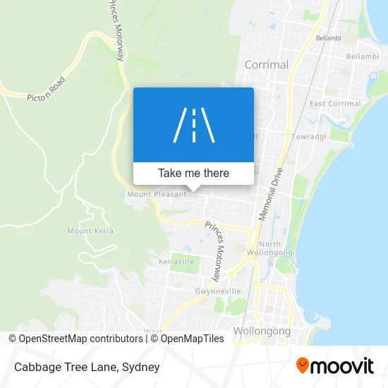 Mapa Cabbage Tree Lane