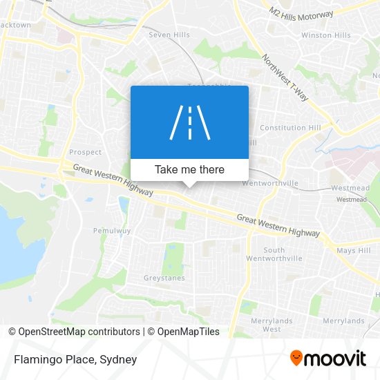 Flamingo Place map