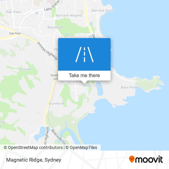 Magnetic Ridge map