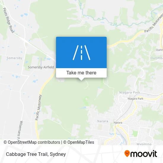 Mapa Cabbage Tree Trail