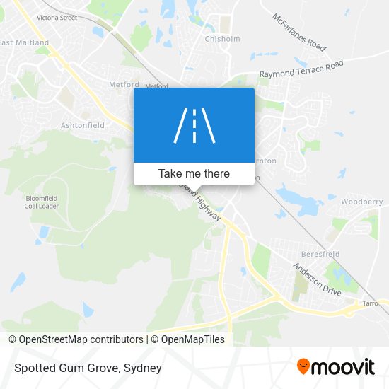 Spotted Gum Grove map