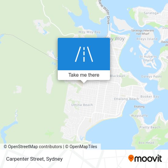Carpenter Street map