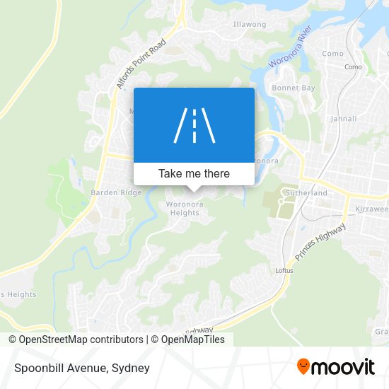 Spoonbill Avenue map