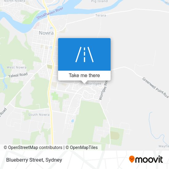 Blueberry Street map