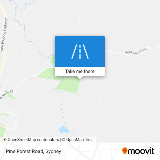 Pine Forest Road map