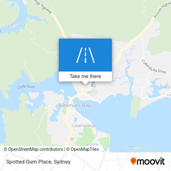 Spotted Gum Place map