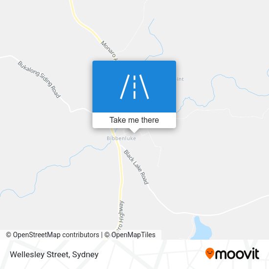 Wellesley Street map