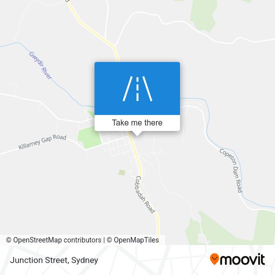 Junction Street map