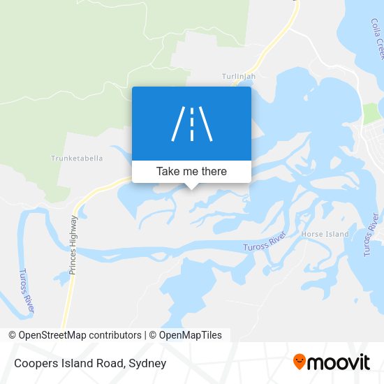Coopers Island Road map