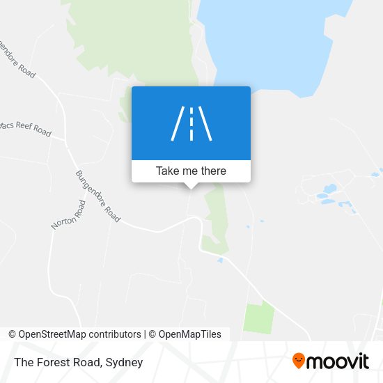 The Forest Road map
