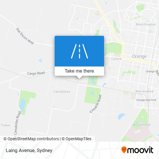 Laing Avenue map