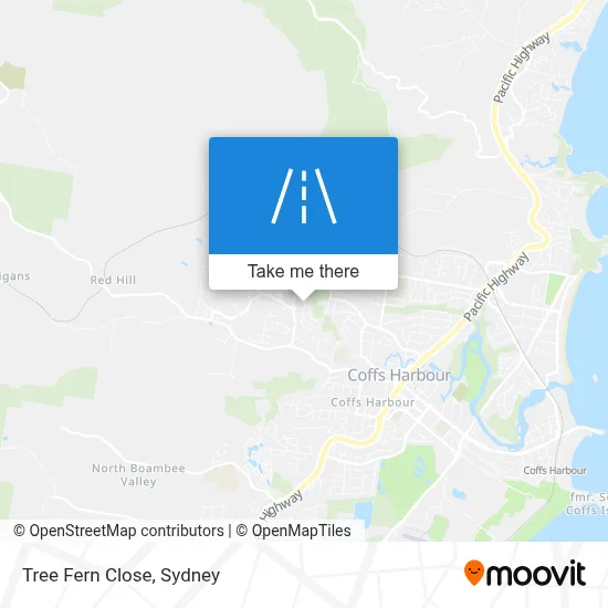 Mapa Tree Fern Close