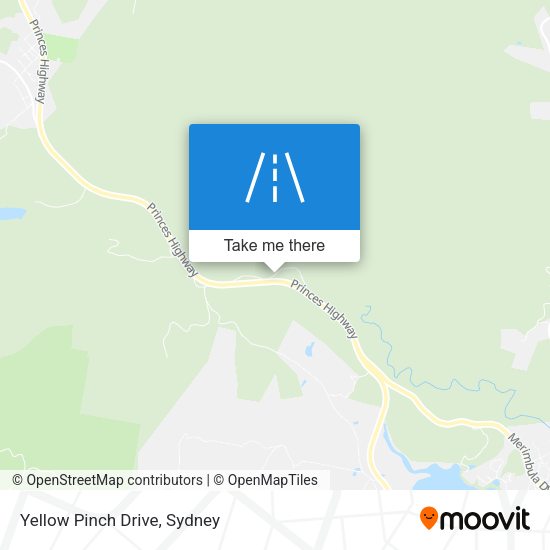 Yellow Pinch Drive map