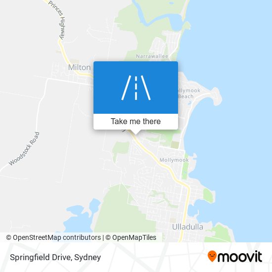 Mapa Springfield Drive