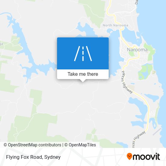 Flying Fox Road map