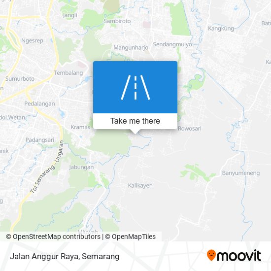 Jalan Anggur Raya map