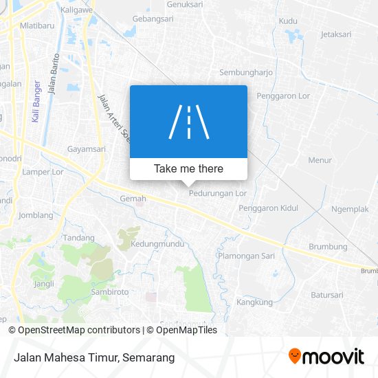 Jalan Mahesa Timur map
