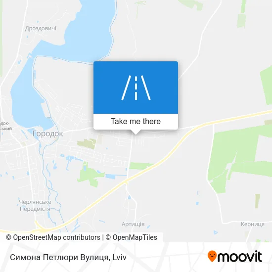 Карта Симона Петлюри Вулиця