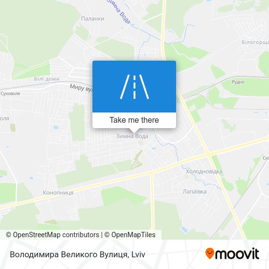 Володимира Великого Вулиця map