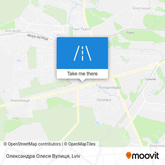 Олександра Олеся Вулиця map