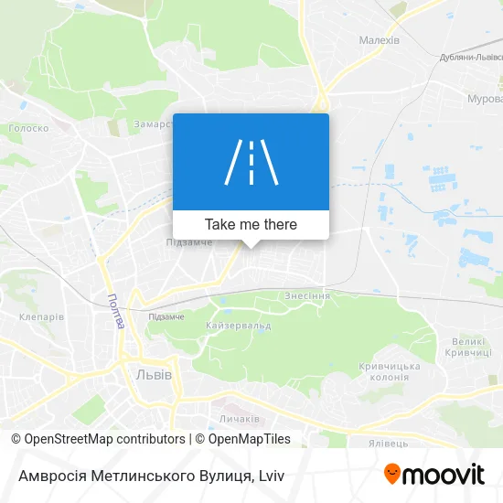 Карта Амвросія Метлинського Вулиця