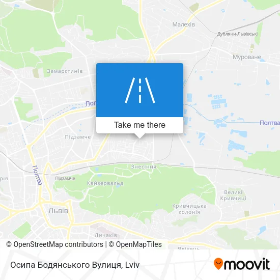 Карта Осипа Бодянського Вулиця