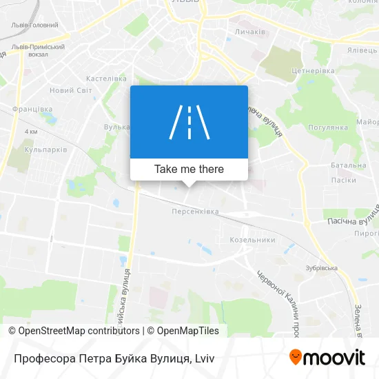 Карта Професора Петра Буйка Вулиця